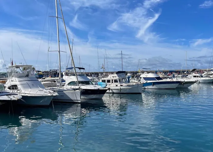 Geranios Paradise 아데제