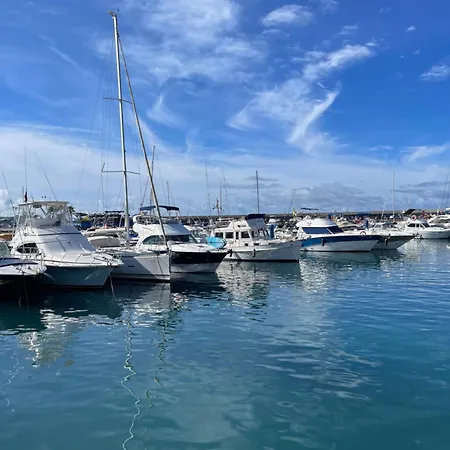 Geranios Paradise Costa Adeje